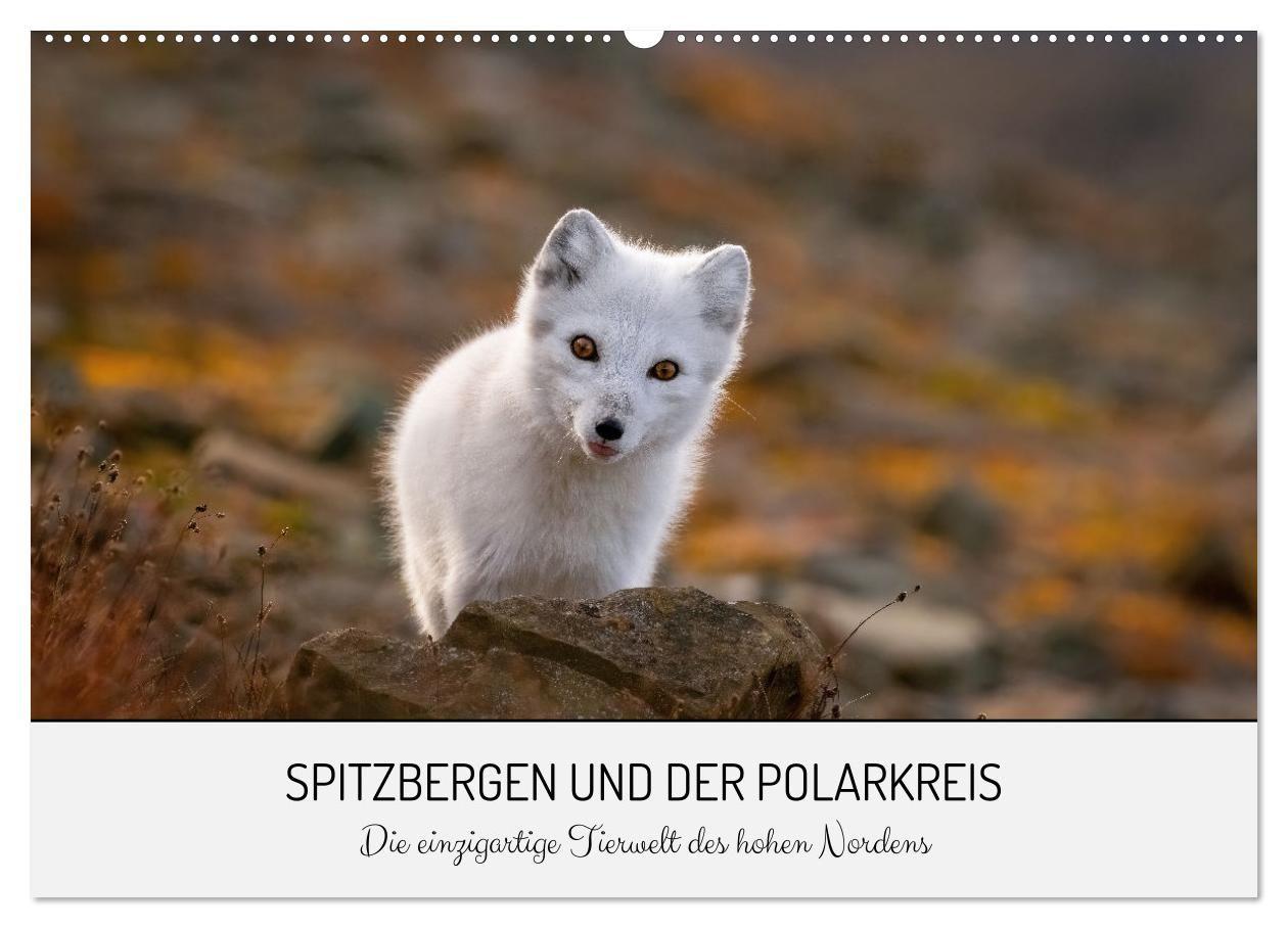 Kalender/Terminbuch Spitzbergen und der Polarkreis (Wandkalender 2027 DIN A2 quer), CALVENDO Monatskalender Calvendo