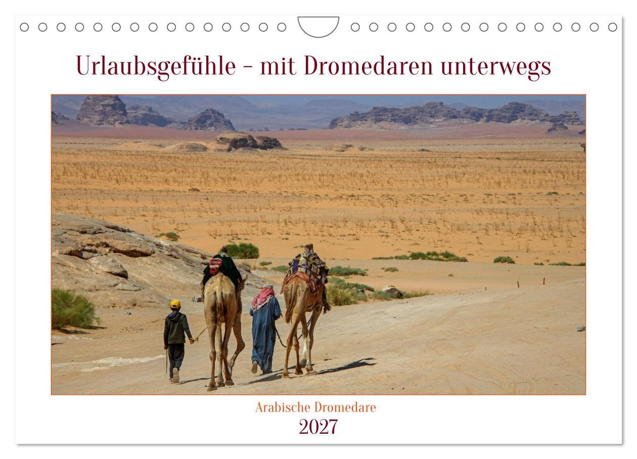 Kalendár/Diár Urlaubsgefühle - mit Dromedaren unterwegs (Wandkalender 2027 DIN A4 quer), CALVENDO Monatskalender Calvendo