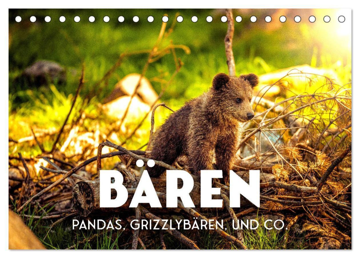 Kalender/Terminbuch Bären - Pandas, Grizzlybären und Co. (Tischkalender 2027 DIN A5 quer), CALVENDO Monatskalender Calvendo