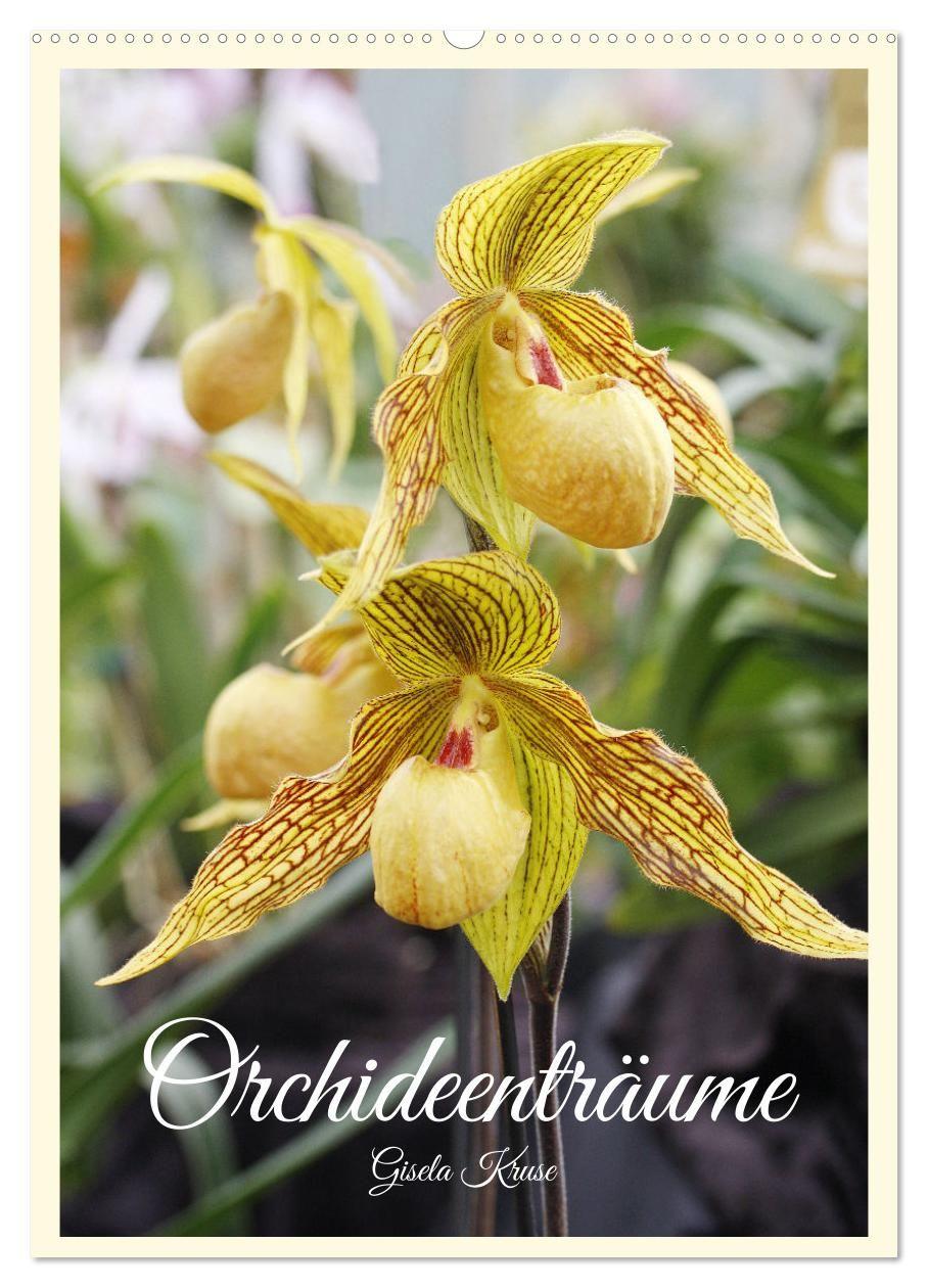 Kalender/Terminbuch Orchideenträume (Wandkalender 2027 DIN A2 hoch), CALVENDO Monatskalender Calvendo