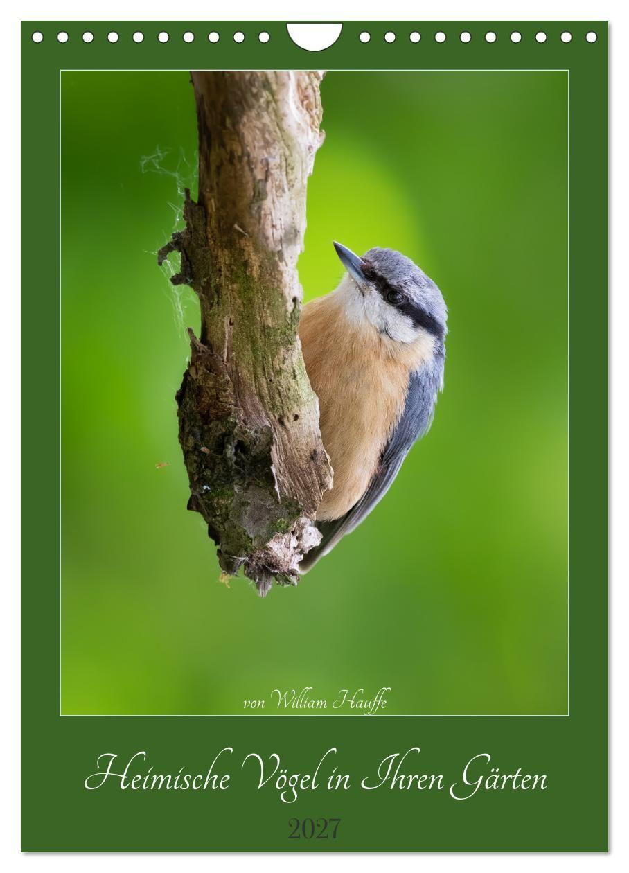 Kalendář/Diář Heimische Vögel in Ihren Gärten (Wandkalender 2027 DIN A4 hoch), CALVENDO Monatskalender Calvendo