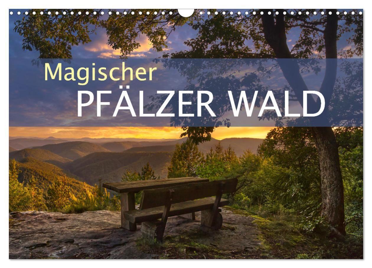 Kalender/agenda Magischer Pfälzer Wald (Wandkalender 2027 DIN A3 quer), CALVENDO Monatskalender Calvendo