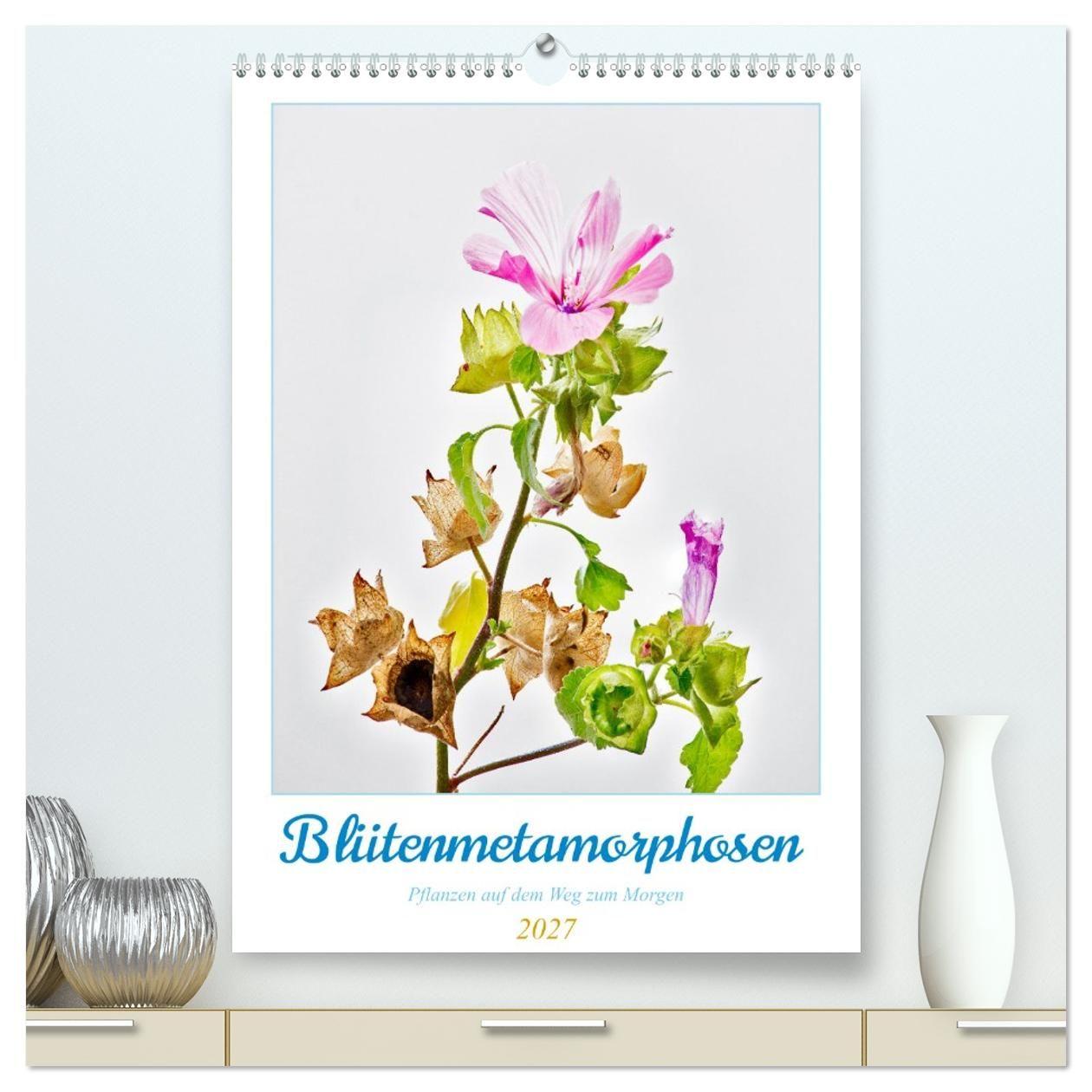Kalender/agenda Blütenmetamorphosen (hochwertiger Premium Wandkalender 2027 DIN A2 hoch), Kunstdruck in Hochglanz Calvendo