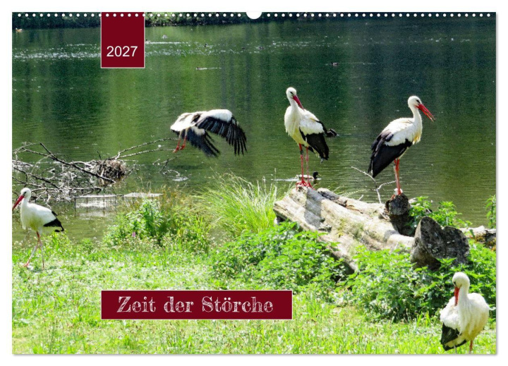 Calendário/Diário Zeit der Störche (Wandkalender 2027 DIN A2 quer), CALVENDO Monatskalender Calvendo