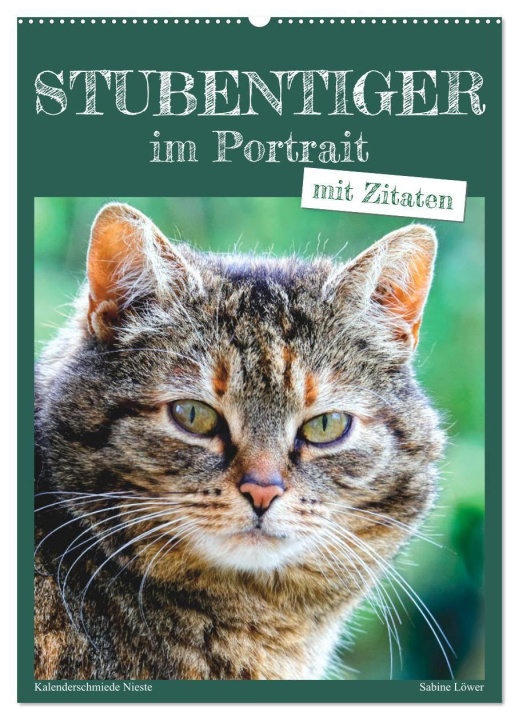 Kalender/agenda Stubentiger im Portrait (Wandkalender 2027 DIN A2 hoch), CALVENDO Monatskalender Calvendo