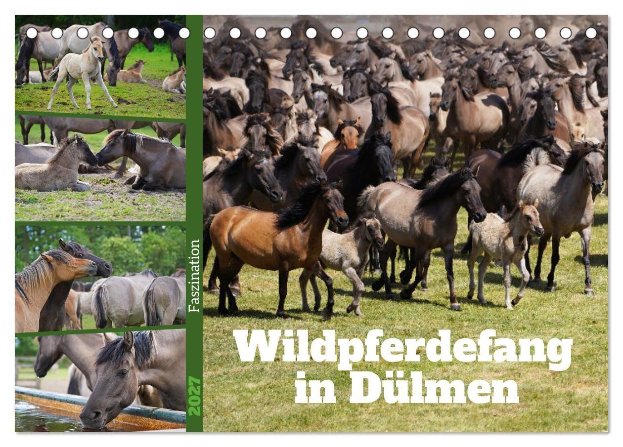 Kalendář/Diář Faszination Wildpferdefang in Dülmen (Tischkalender 2027 DIN A5 quer), CALVENDO Monatskalender Calvendo