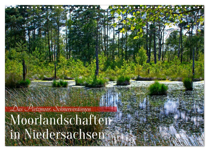 Kalender/agenda Niedersachsens Moorlandschaften - Das Pietzmoor, Schneverdingen (Wandkalender 2027 DIN A3 quer), CALVENDO Monatskalender Calvendo