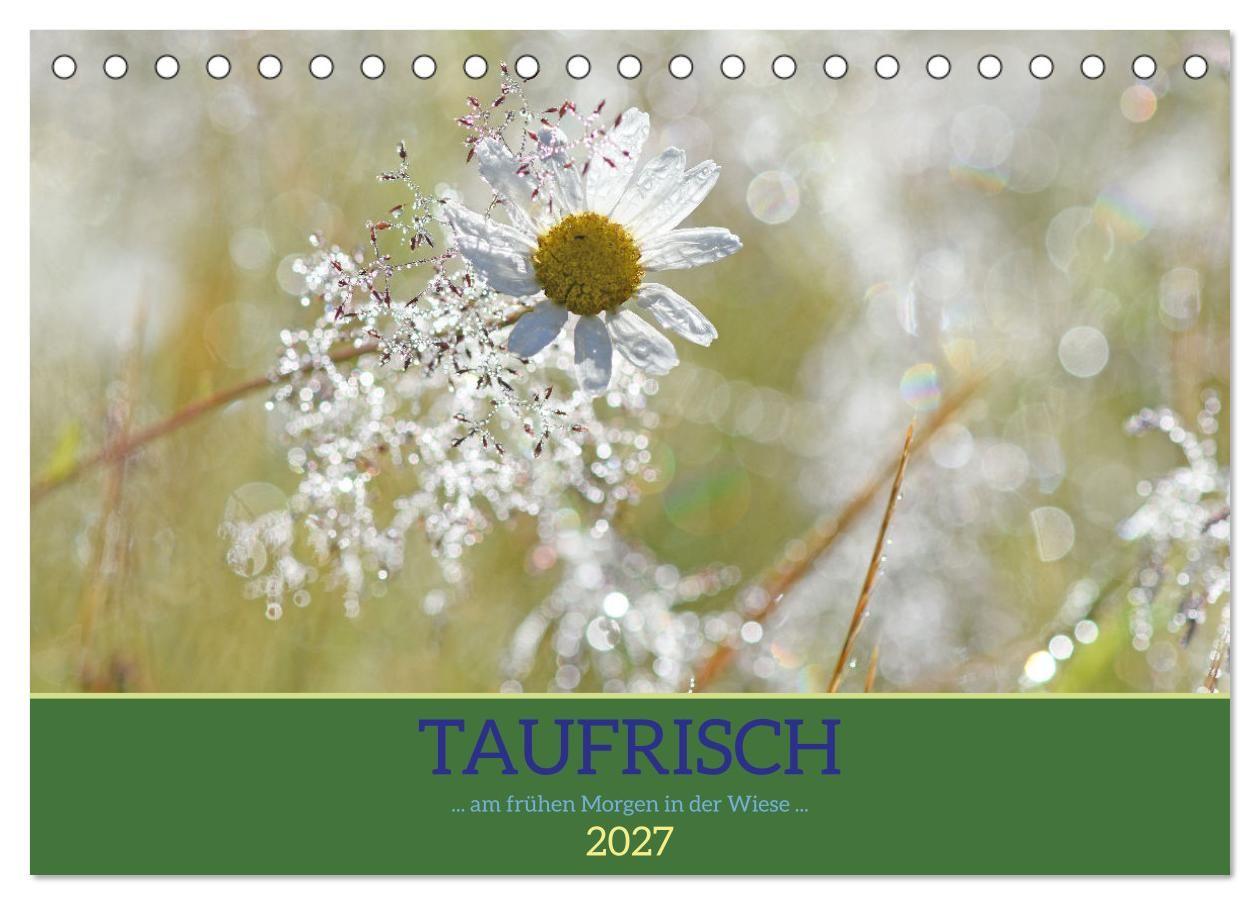 Kalender/Terminbuch Taufrisch... am frühen Morgen in der Wiese (Tischkalender 2027 DIN A5 quer), CALVENDO Monatskalender Calvendo