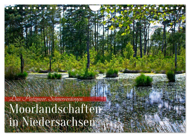 Kalender/agenda Niedersachsens Moorlandschaften - Das Pietzmoor, Schneverdingen (Wandkalender 2027 DIN A4 quer), CALVENDO Monatskalender Calvendo