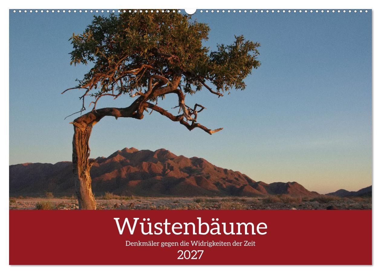 Calendário/Diário Wüstenbäume (Wandkalender 2027 DIN A2 quer), CALVENDO Monatskalender Calvendo