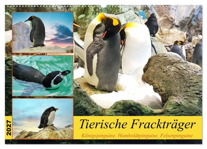 Kalendář/Diář Tierische Frackträger (Wandkalender 2027 DIN A2 quer), CALVENDO Monatskalender Calvendo
