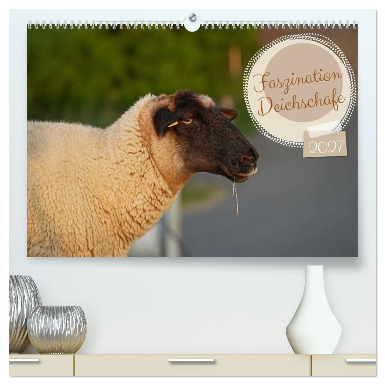 Kalender/Terminbuch Faszination Deichschafe (hochwertiger Premium Wandkalender 2027 DIN A2 quer), Kunstdruck in Hochglanz Calvendo