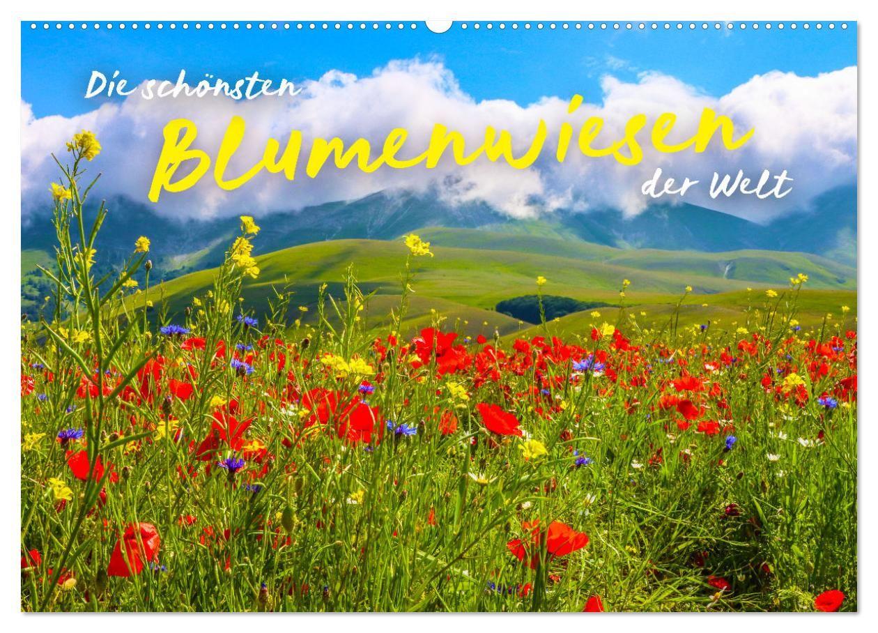 Kalender/Terminbuch Die schönsten Blumenwiesen der Welt (Wandkalender 2027 DIN A2 quer), CALVENDO Monatskalender Calvendo
