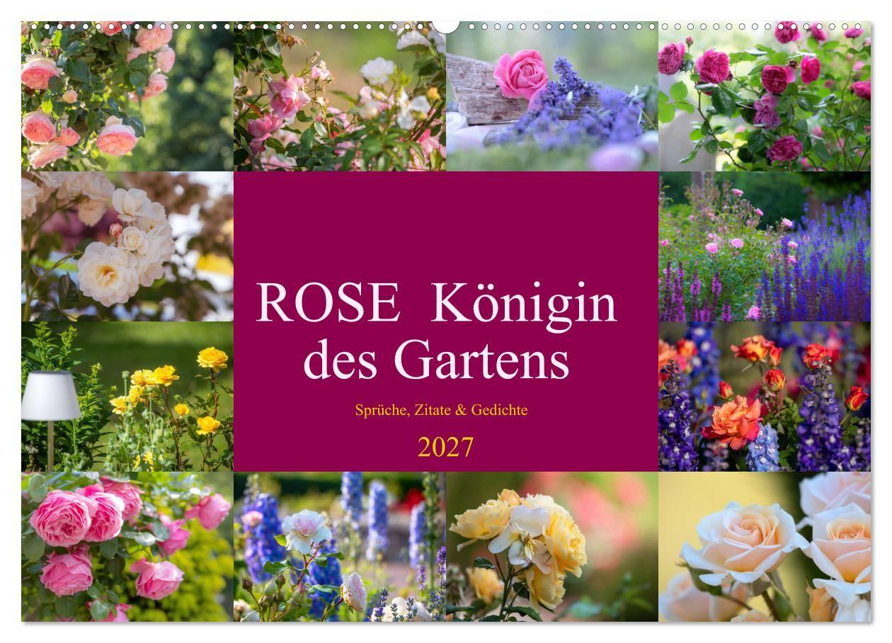 Kalender/agenda Rose Königin des Gartens (Wandkalender 2027 DIN A2 quer), CALVENDO Monatskalender Calvendo