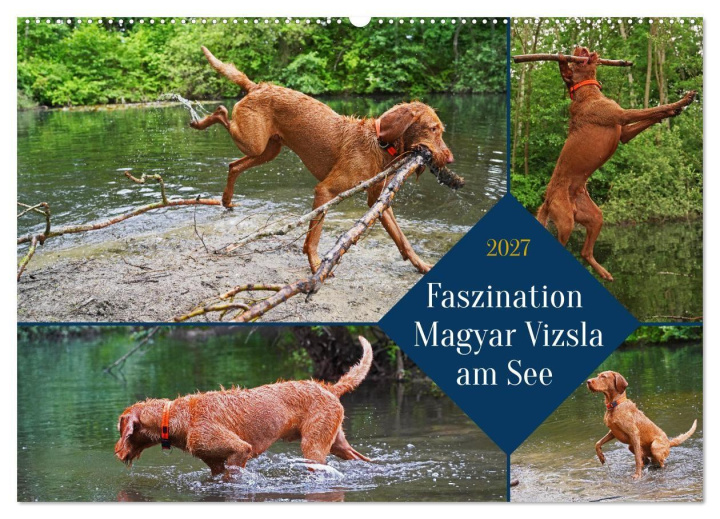 Kalendár/Diár Faszination Magyar Vizsla am See (Wandkalender 2027 DIN A2 quer), CALVENDO Monatskalender Calvendo