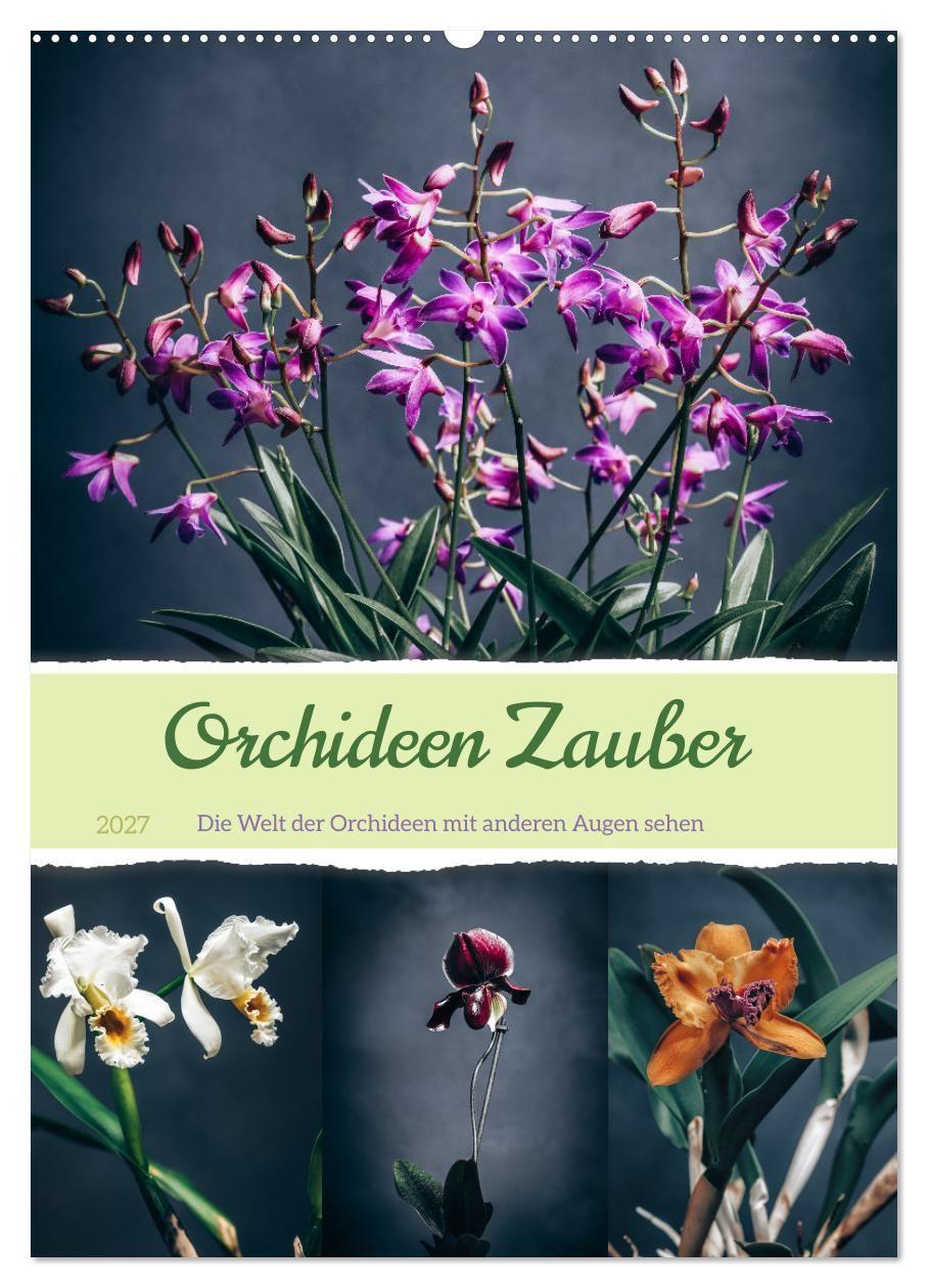 Kalender/Terminbuch Orchideen Zauber (Wandkalender 2027 DIN A2 hoch), CALVENDO Monatskalender Calvendo