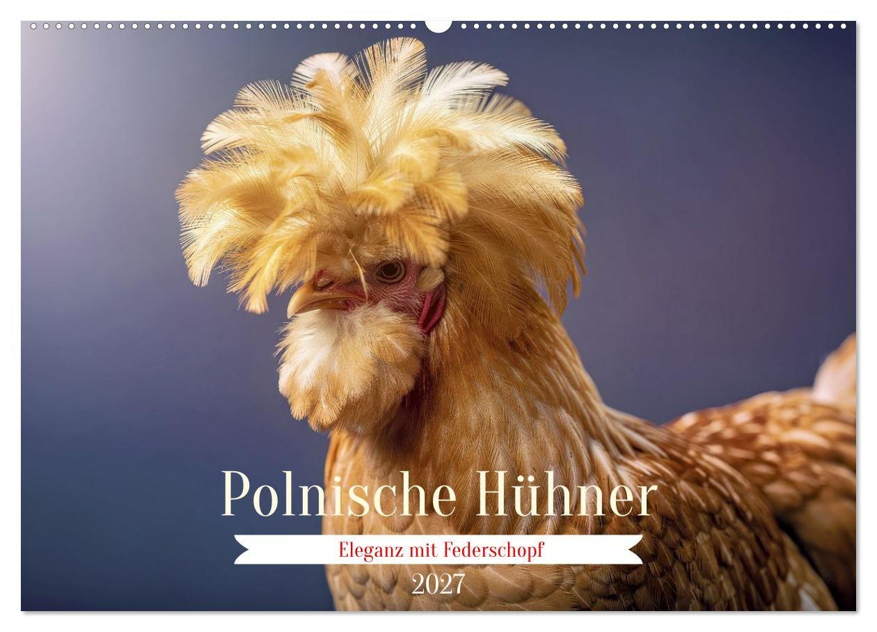 Kalendár/Diár Polnische Hühner (Wandkalender 2027 DIN A2 quer), CALVENDO Monatskalender Calvendo