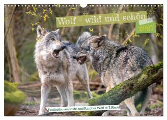 Kalendář/Diář Wolf - wild und schön (Wandkalender 2027 DIN A3 quer), CALVENDO Monatskalender Calvendo