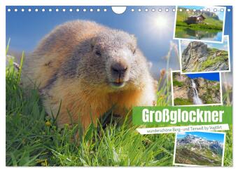 Kalender/Terminbuch Großglockner wunderschöne Berg- und Tierwelt (Wandkalender 2027 DIN A4 quer), CALVENDO Monatskalender Calvendo
