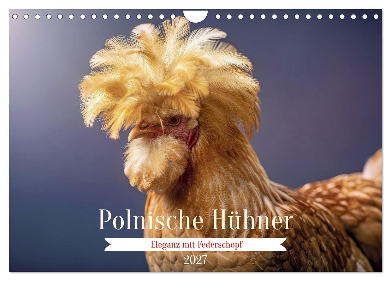Kalendár/Diár Polnische Hühner (Wandkalender 2027 DIN A4 quer), CALVENDO Monatskalender Calvendo