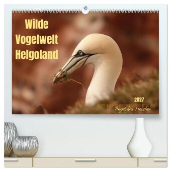 Kalendář/Diář Wilde Vogelwelt Helgoland (hochwertiger Premium Wandkalender 2027 DIN A2 quer), Kunstdruck in Hochglanz Calvendo