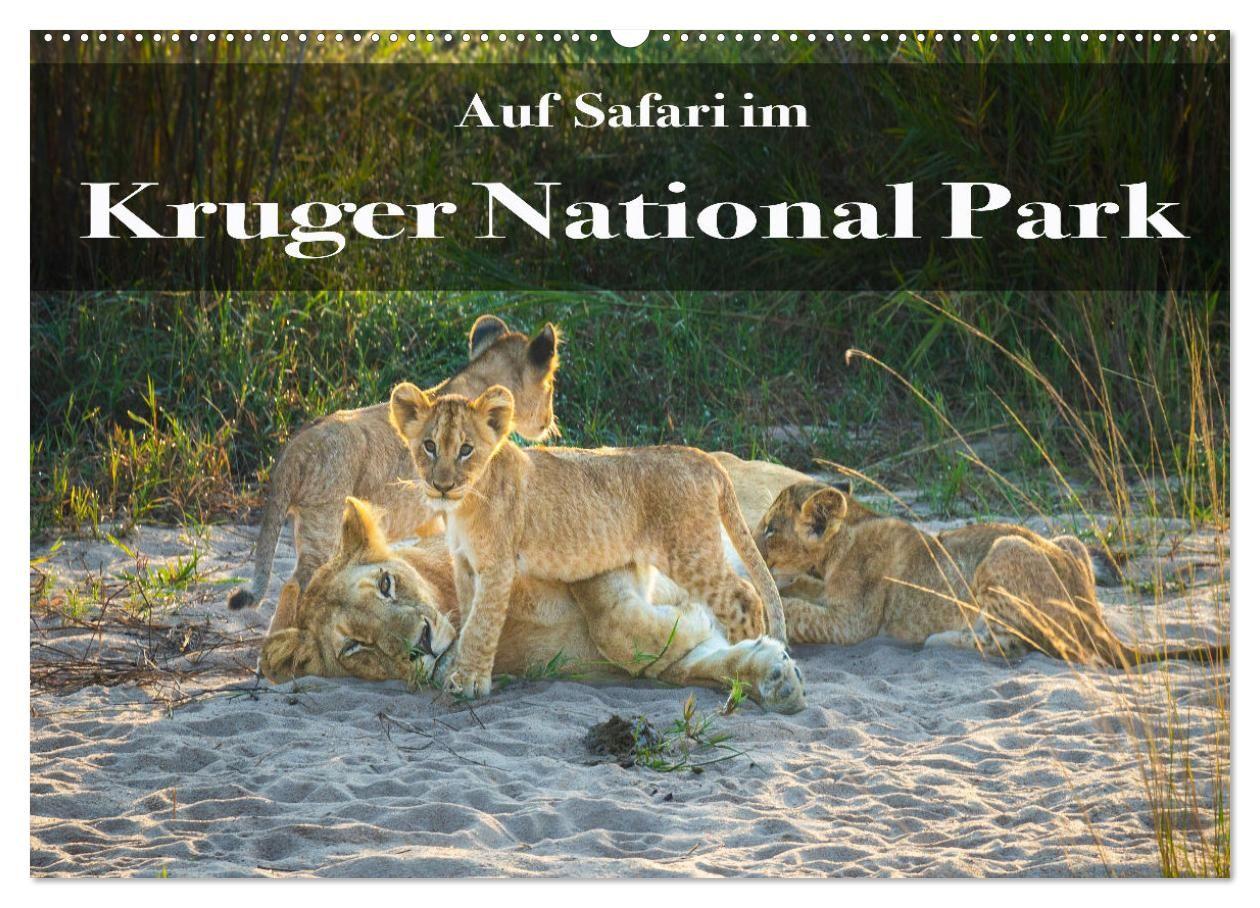 Kalender/Terminbuch Auf Safari im Kruger National Park (Wandkalender 2027 DIN A2 quer), CALVENDO Monatskalender Calvendo
