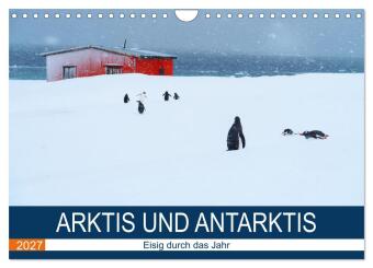 Kalender/Terminbuch Arktis und Antarktis - Eisig durch das Jahr (Wandkalender 2027 DIN A4 quer), CALVENDO Monatskalender Calvendo