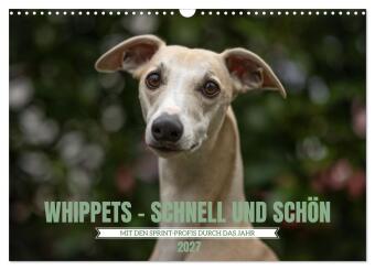 Kalender/Terminbuch WHIPPETS - SCHNELL UND SCHÖN (Wandkalender 2027 DIN A3 quer), CALVENDO Monatskalender Calvendo