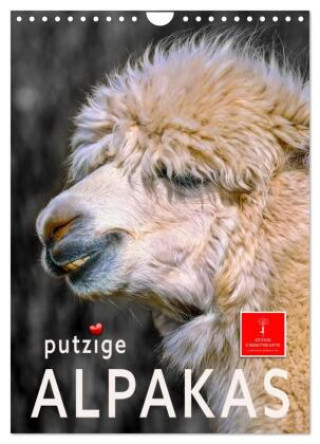 Kalendár/Diár Putzige Alpakas (Wandkalender 2027 DIN A4 hoch), CALVENDO Monatskalender Calvendo