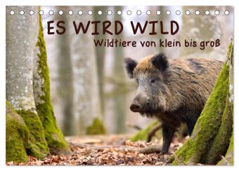 Kalender/Terminbuch ES WIRD WILD Wildtiere von klein bis groß (Tischkalender 2027 DIN A5 quer), CALVENDO Monatskalender Calvendo