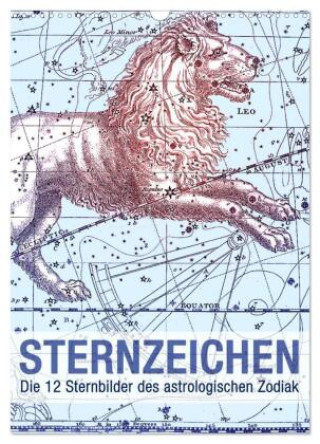 Kalender/agenda Sternzeichenkalender (Wandkalender 2027 DIN A3 hoch), CALVENDO Monatskalender Calvendo