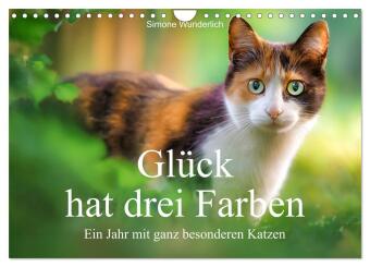 Kalender/Terminbuch Glück hat drei Farben - ein Jahr mit ganz besonderen Katzen (Wandkalender 2027 DIN A4 quer), CALVENDO Monatskalender Calvendo