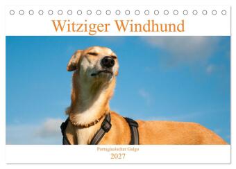 Kalender/Terminbuch Witziger Windhund - Portugiesischer Galgo (Tischkalender 2027 DIN A5 quer), CALVENDO Monatskalender Calvendo