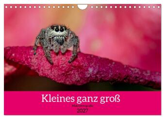 Kalender/agenda Kleines ganz groß - Makrofotografie (Wandkalender 2027 DIN A4 quer), CALVENDO Monatskalender Calvendo