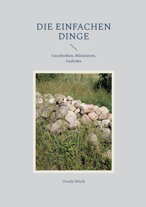 Livro Die einfachen Dinge Ursula Wirth