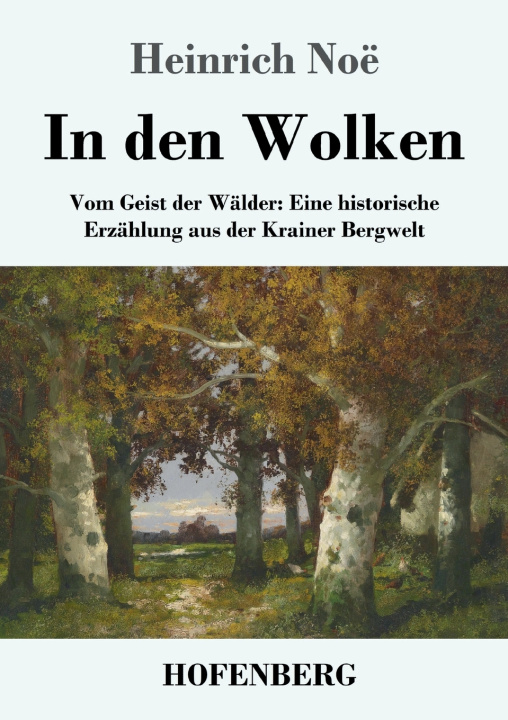 Kniha In den Wolken Heinrich Noë