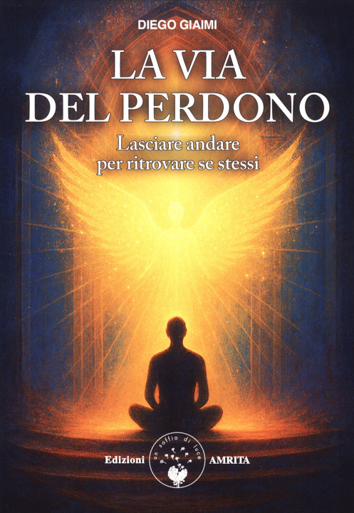 Boek via del perdono. Lasciare andare per ritrovare se stessi Diego Giaimi