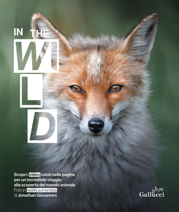 Buch In the wild Jonathan Giovannini