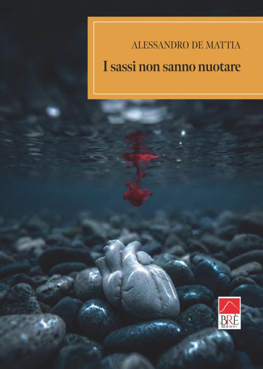 Kniha sassi non sanno nuotare Alessandro De Mattia
