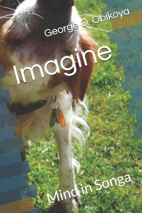 Könyv Imagine George O. Obikoya