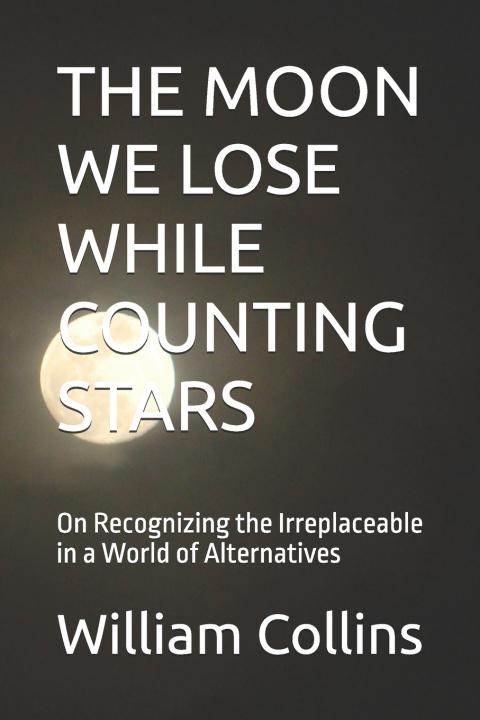 Книга THE MOON WE LOSE WHILE COUNTING STARS William W Collins