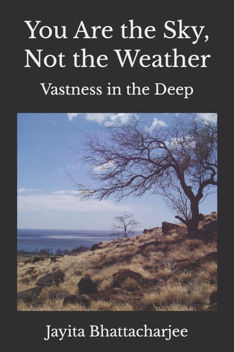 Libro You Are the Sky, Not the Weather Jayita Bhattacharjee