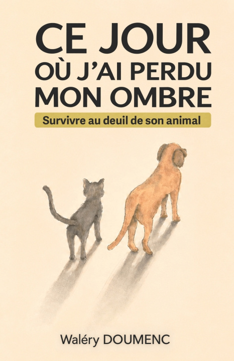 Knjiga Ce jour où j'ai perdu mon ombre Waléry Doumenc