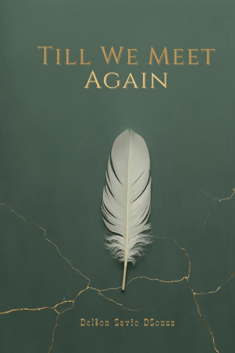 Buch Till We Meet Again Delton Savio DSouza