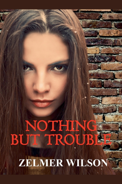 Knjiga Nothing but Trouble Zelmer Wilson