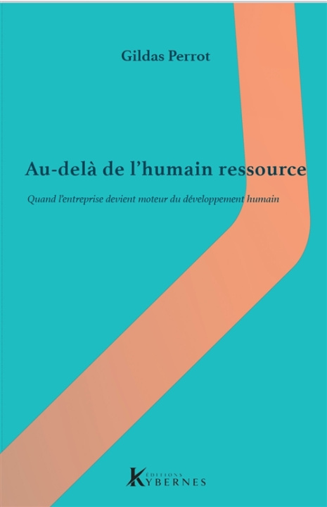 Boek Au delà de l'humain ressource : quand l'entreprise devient moteur du Développement Humain Perrot