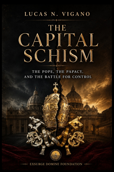 Carte THE CAPITAL SCHISM Lucas N. Vigano