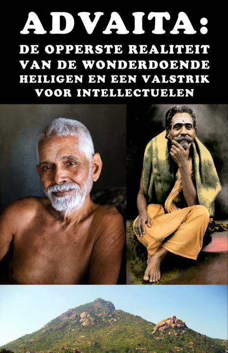 Book Advaita Vasyl Vernyhora