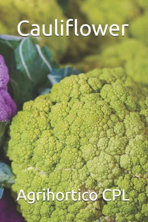 Könyv Cauliflower Agrihortico CPL
