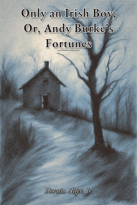 Buch Only an Irish Boy; Or, Andy Burke's Fortunes Horatio Alger